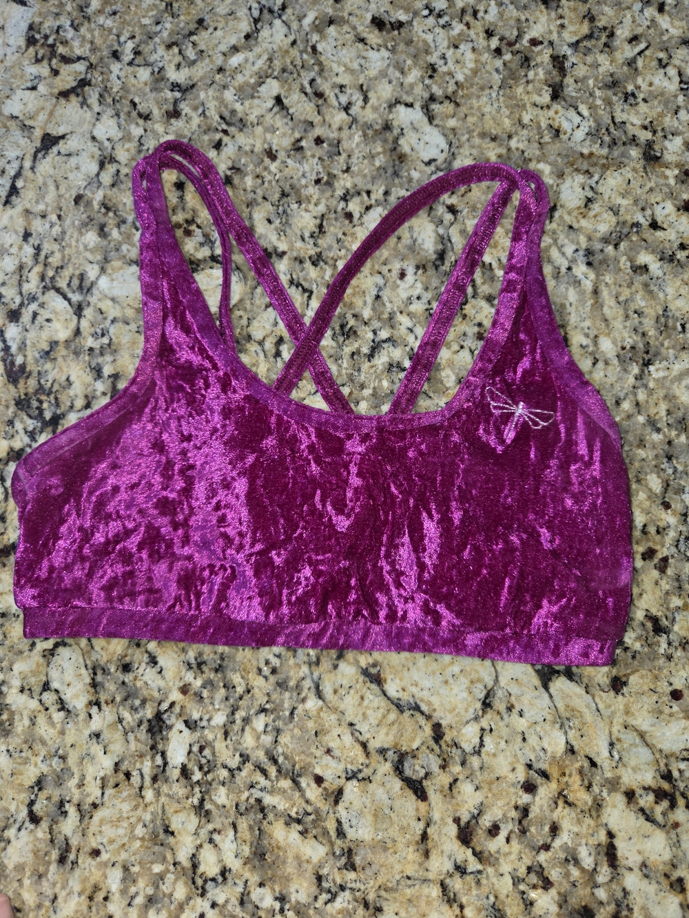 Dragonfly Brand Nicole Velvet Sports Bra - Burgundy/Ruby - Size Small